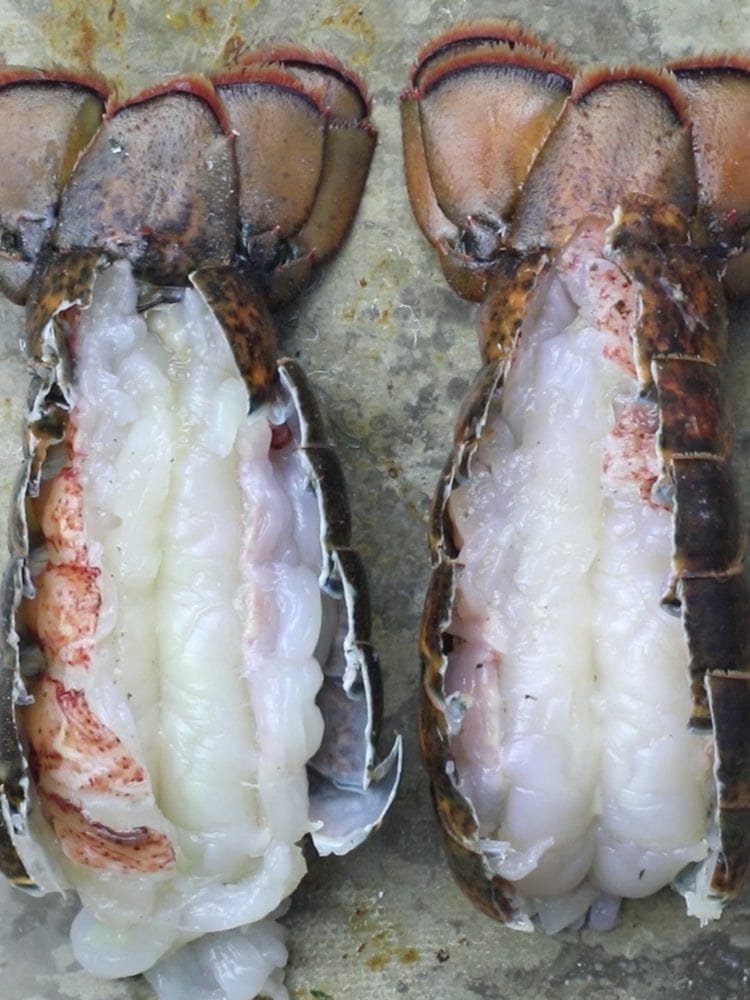 lobster tail butterflied on a baking sheet