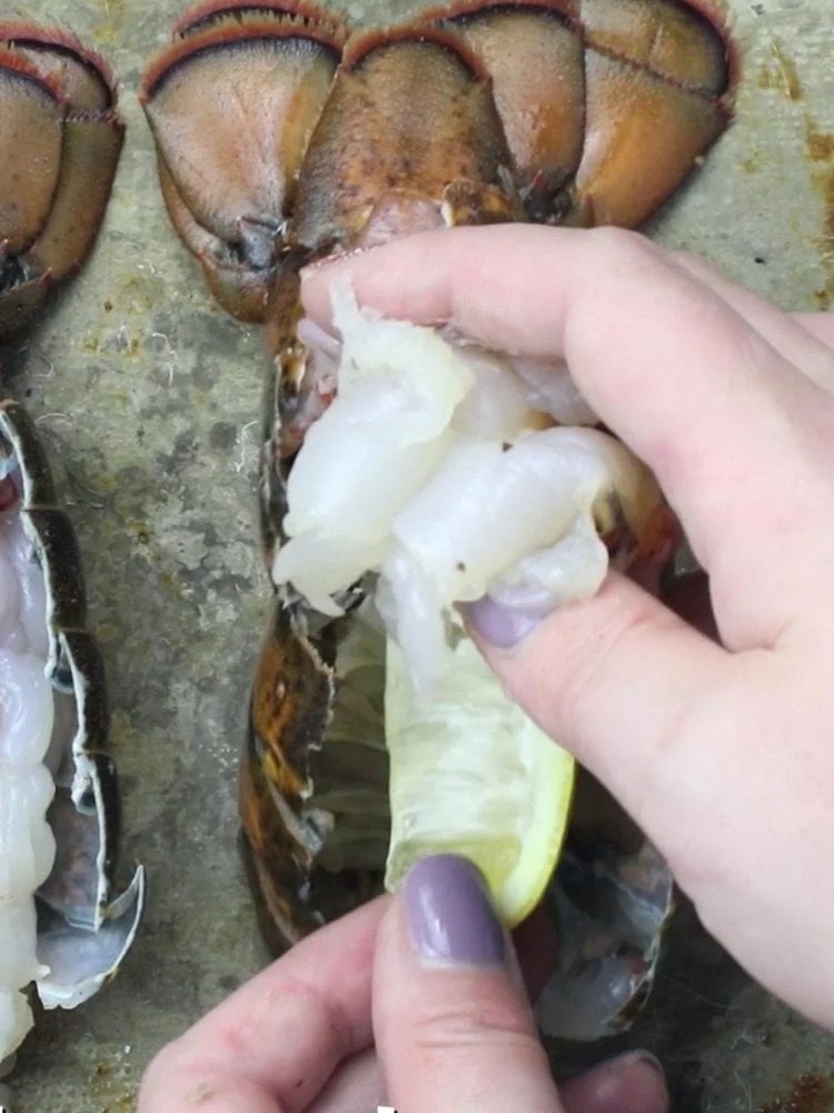 a hand putting lemon slice in lobster tail shell
