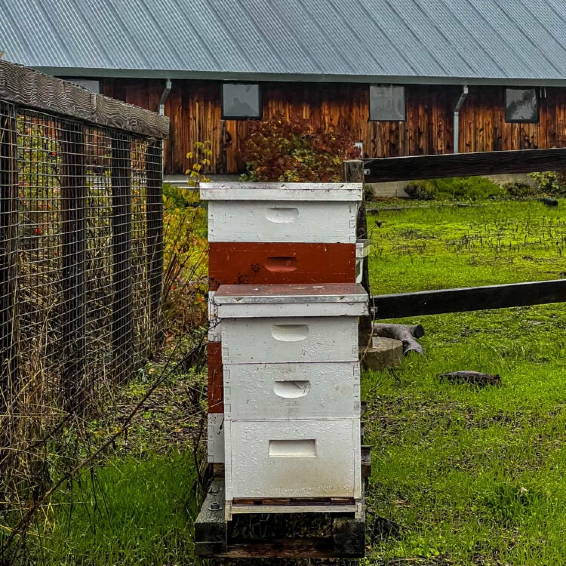 picture of bee hive boxes