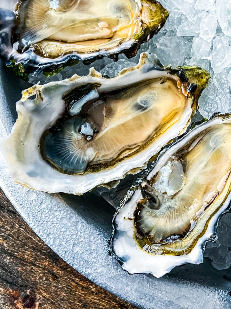 picture of oysters in a dish