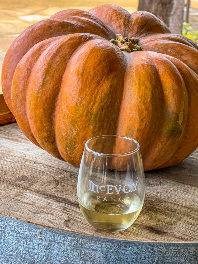 picture of wine glass in front of a pumpkin