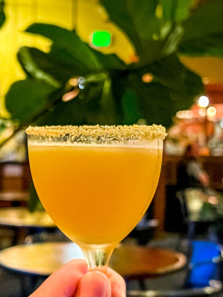 picture of a sugar rimmed cocktail in a glass